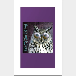 Hippie Peace Owl Posters and Art